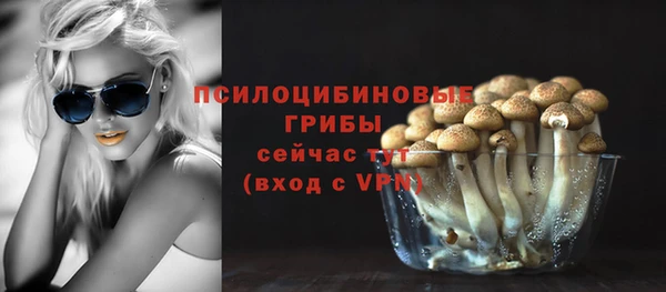 метадон Нягань