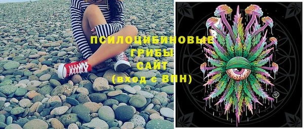 спиды Няндома
