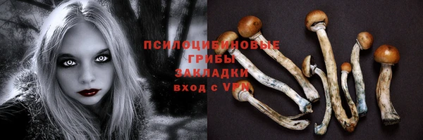 альфа пвп Новодвинск